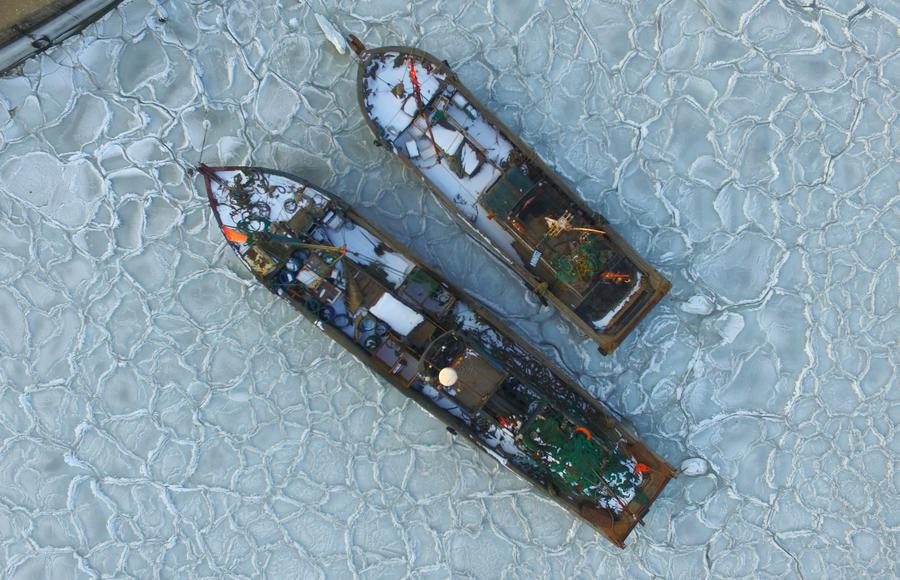 Sea ice appears around Yantai sea area