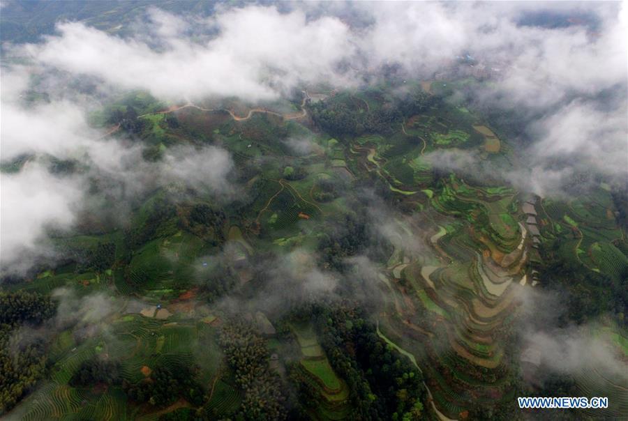 Aerial photos show green landscape covered by clouds in S China