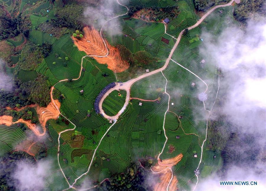 Aerial photos show green landscape covered by clouds in S China