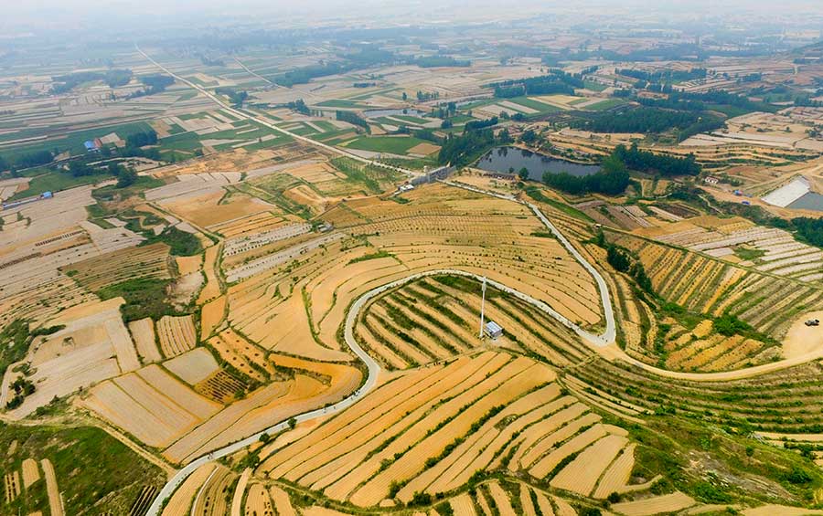 Aerial view of terraced fields in Lianyungang city, E China's Jiangsu