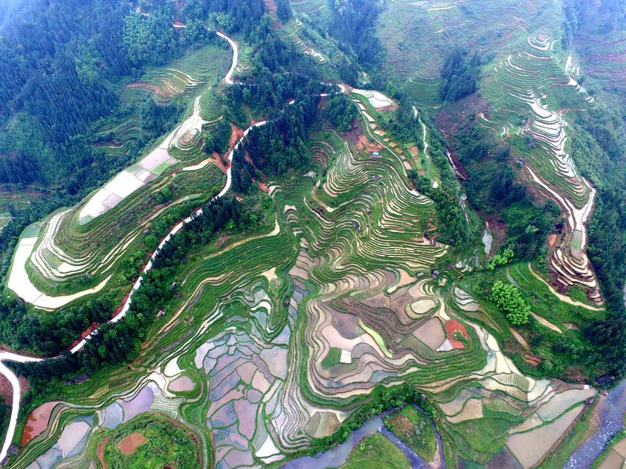 Scenery of terraces in Guizhou