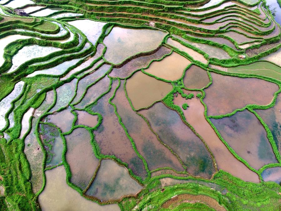 Scenery of terraces in Guizhou