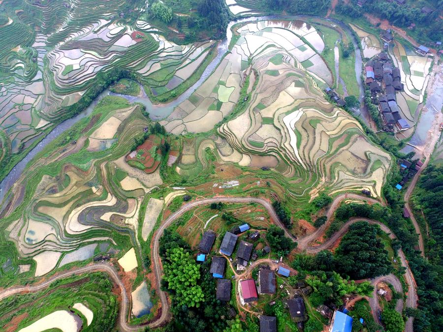 Scenery of terraces in Guizhou