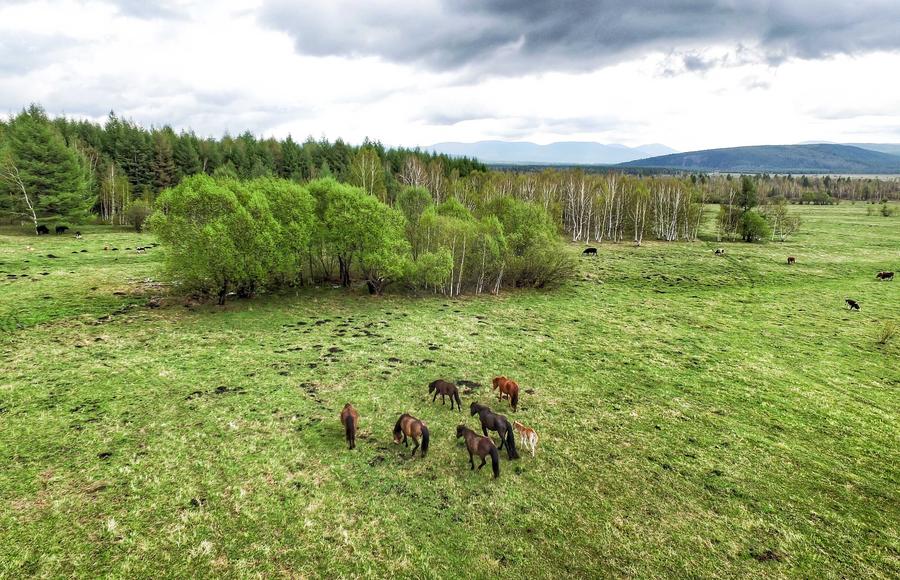 Spectacular aerial views of Arxan in Inner Mongolia