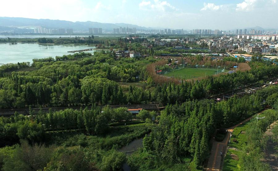 Water quality of Dianchi Lake improved in SW China's Kunming