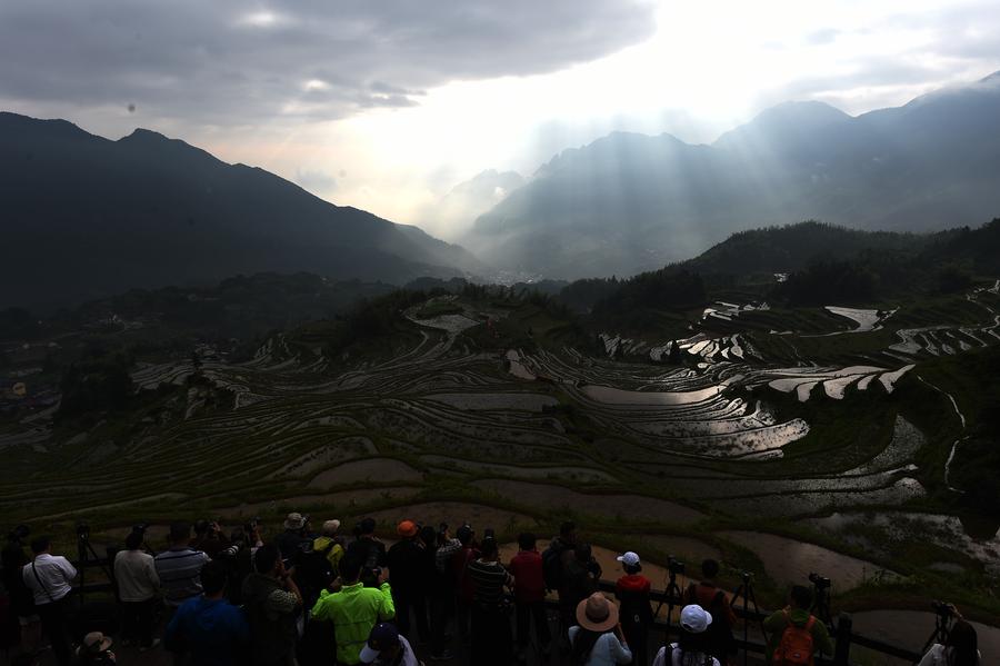 Scenery of Yunhe terrace fields in Zhejiang