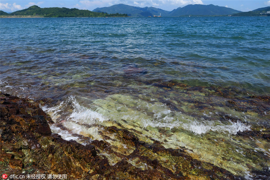 Ma Shi Chau: Beautiful geological park in HK