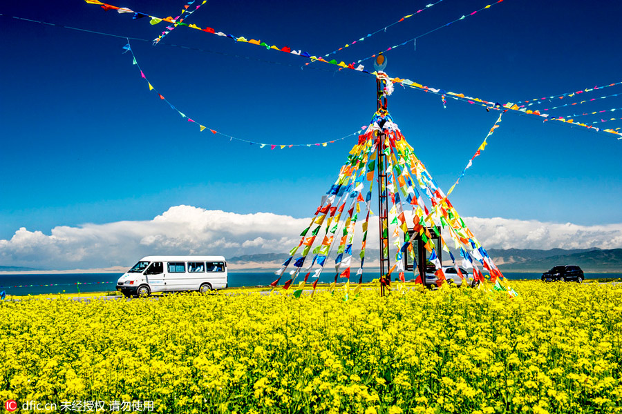 Qinghai in summer: a land of heaven