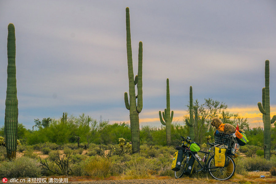 A man and a dog: Traveling around the world on cycle