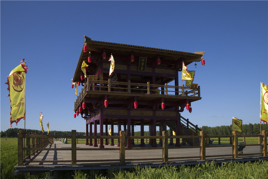 Rice paddy themed park reveals beauty of nature