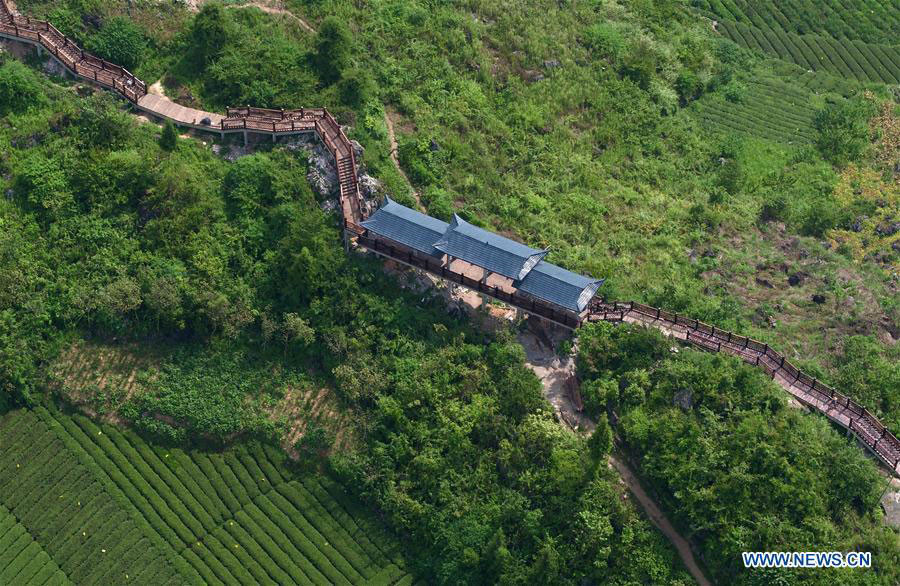 Plank corridor built in tea garden in China's Hubei