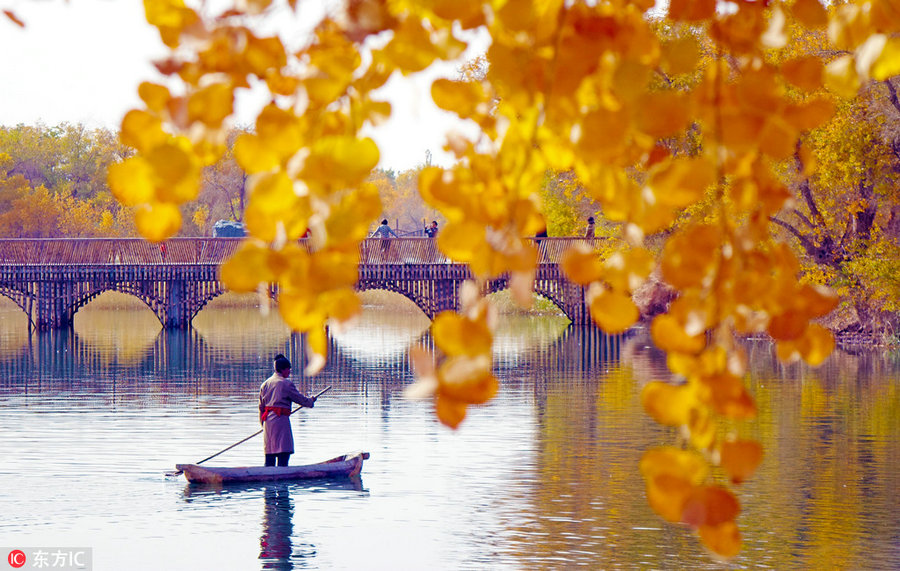 Best places to enjoy autumn's golden landscapes in China