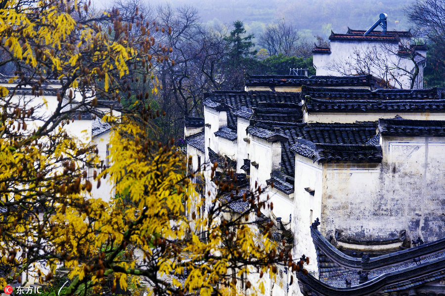 Best places to enjoy autumn's golden landscapes in China