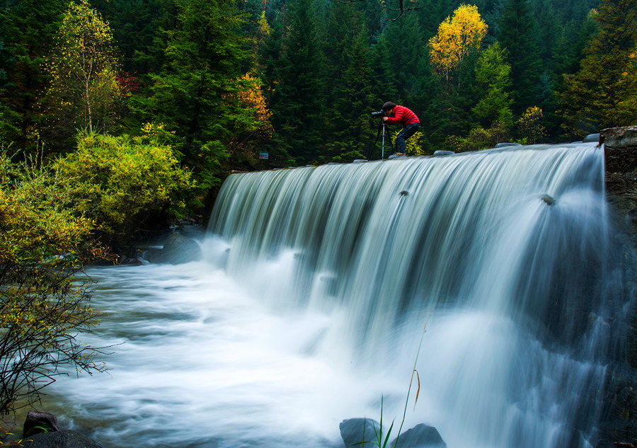 Indulged in the golden color of autumn in Shanxi