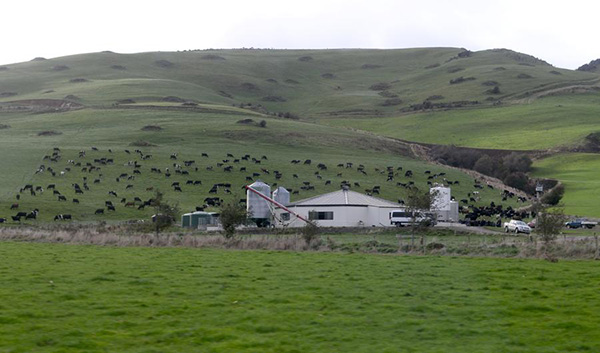 Chinese, Australian visitors help New Zealand's surging tourism spending