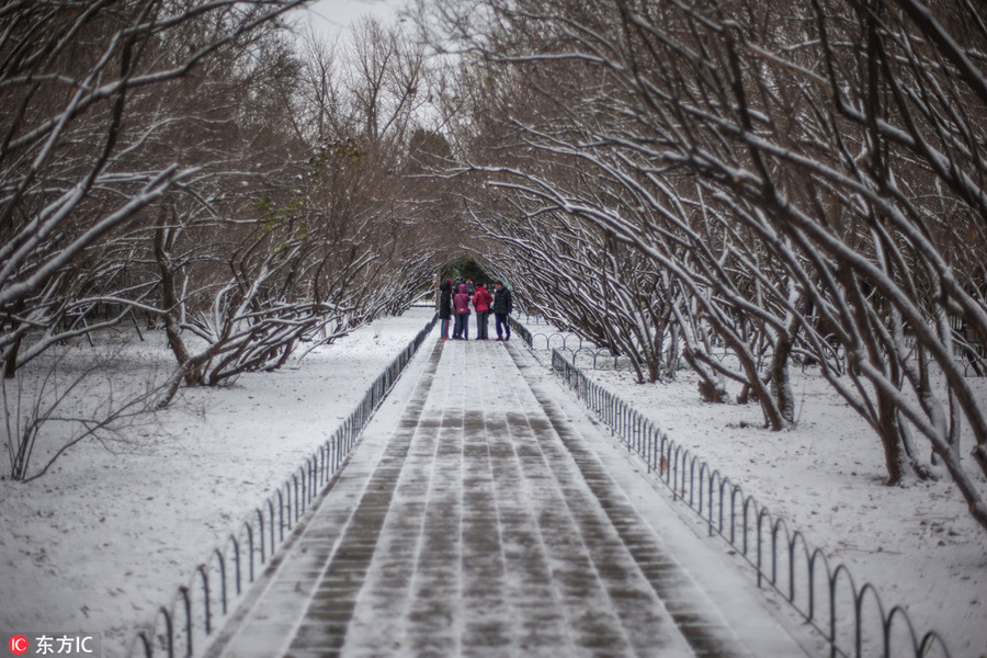 Season’s first snow meets the Temple of Heaven