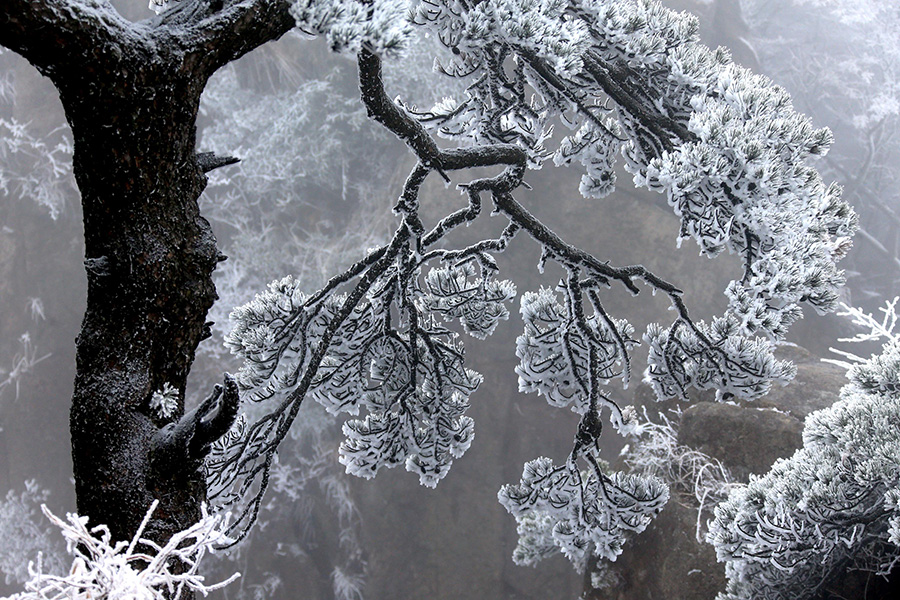 Mount Huangshan blanketed in shades of silver-white