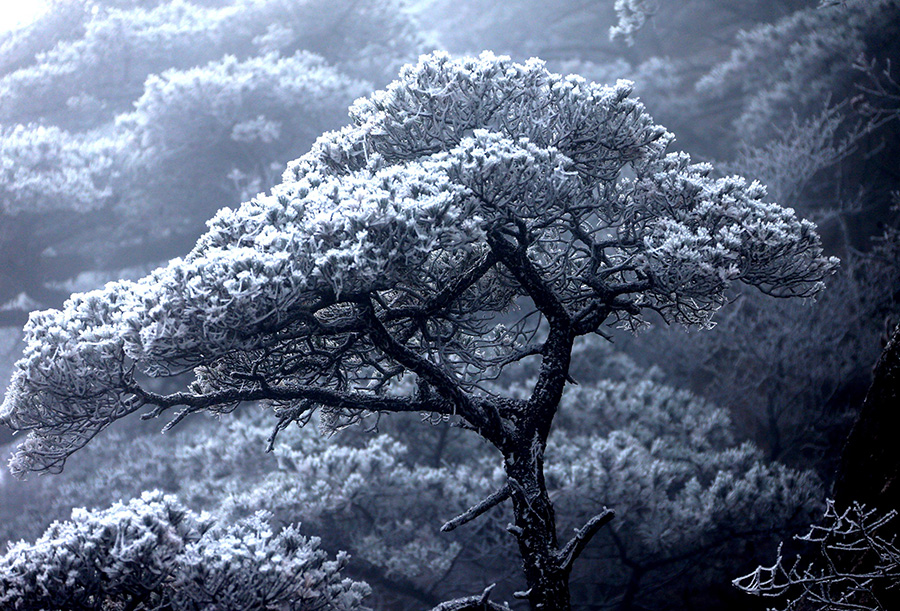 Mount Huangshan blanketed in shades of silver-white