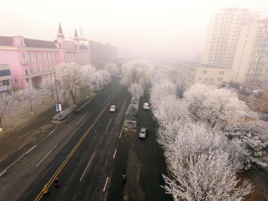 Scenery of rime in North China's Hebei