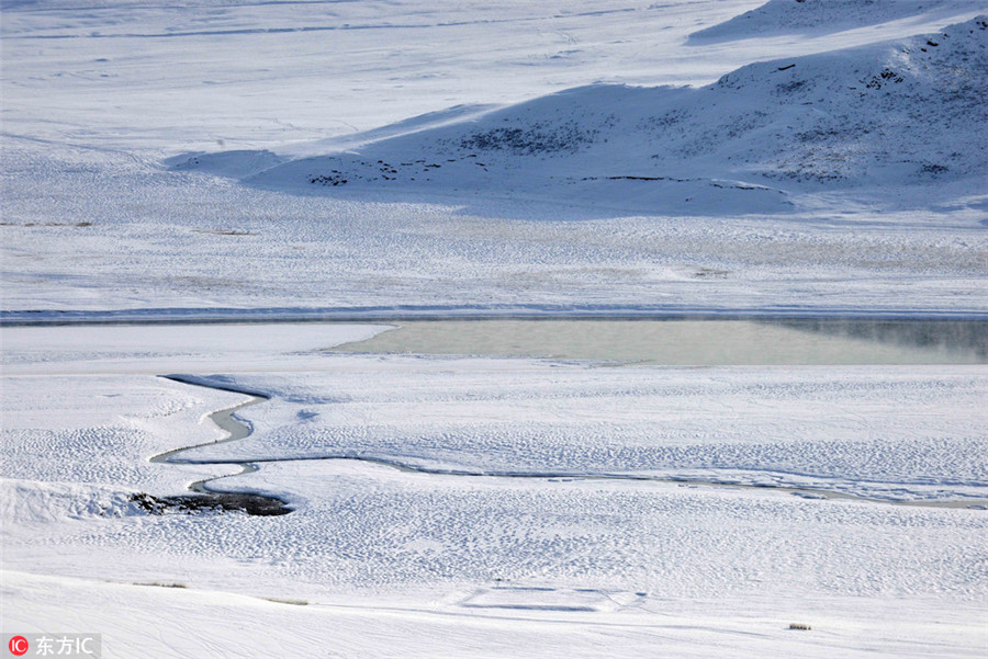 Swans at Bayanbulak Wetland create a fairytale winter scene