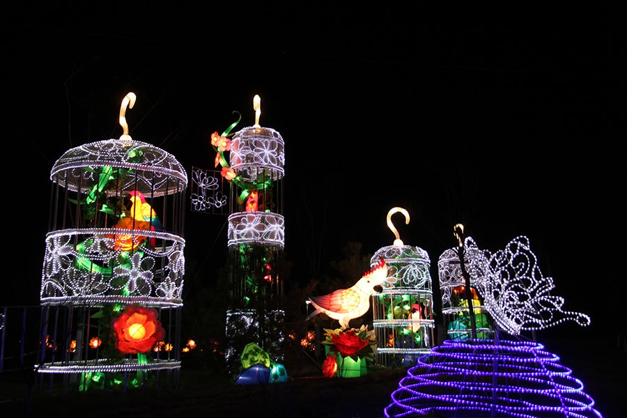 Lanterns light up Beijing rose park for Spring Festival