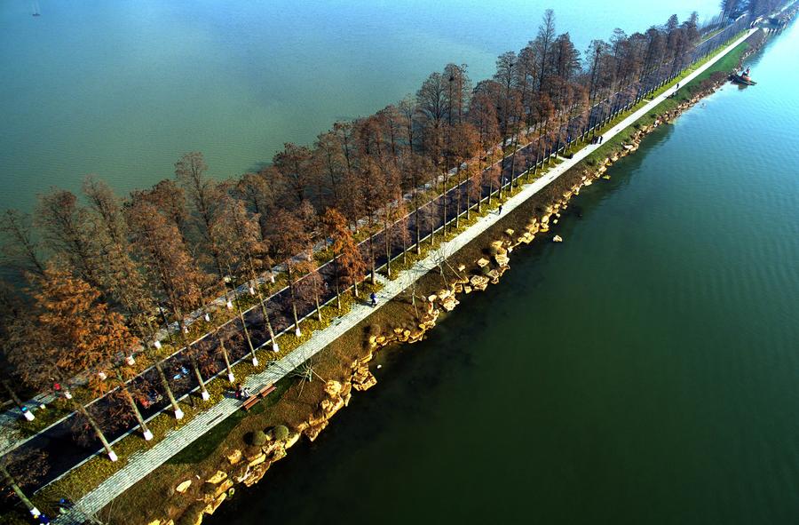 Greenways across Donghu Lake in Central China's Wuhan