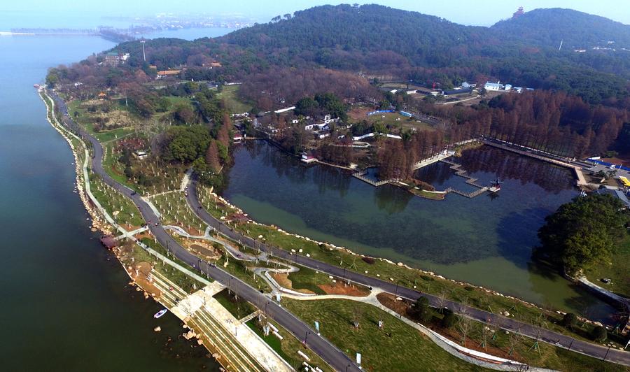 Greenways across Donghu Lake in Central China's Wuhan