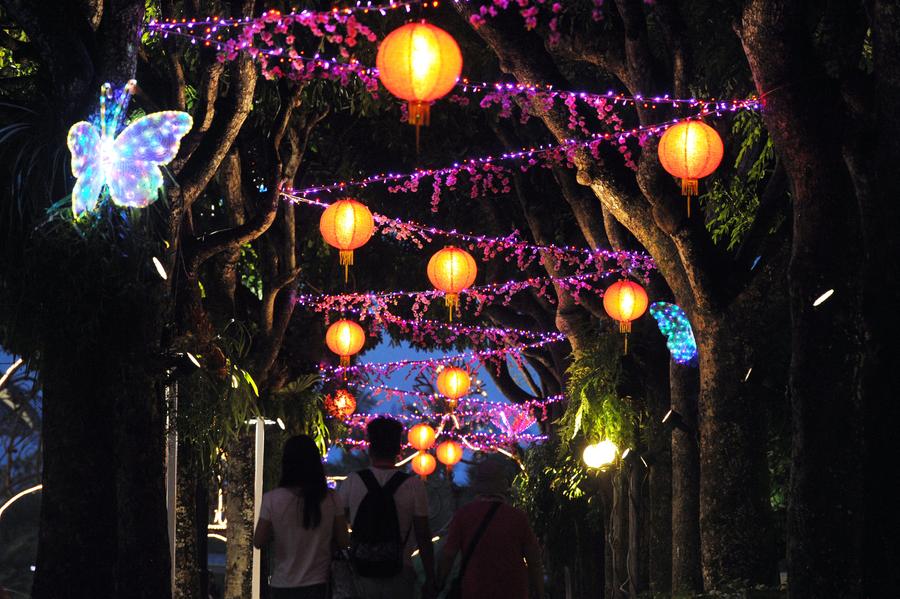 Light exhibition held in Singapore to celebrate Chinese Lunar New Year