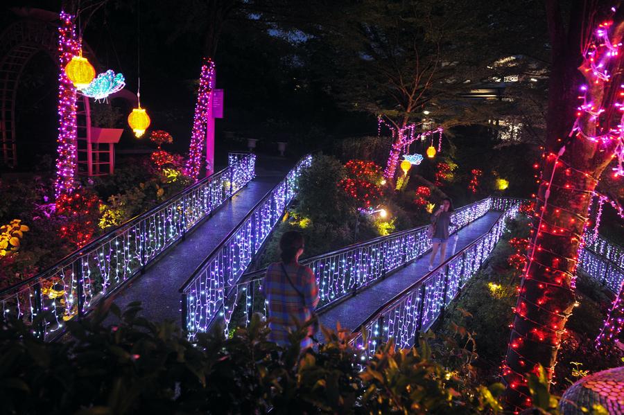 Light exhibition held in Singapore to celebrate Chinese Lunar New Year