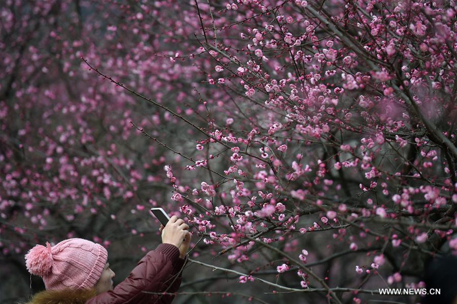 West Lake receives 632,500 tourists on Day 4 of Lunar New Year