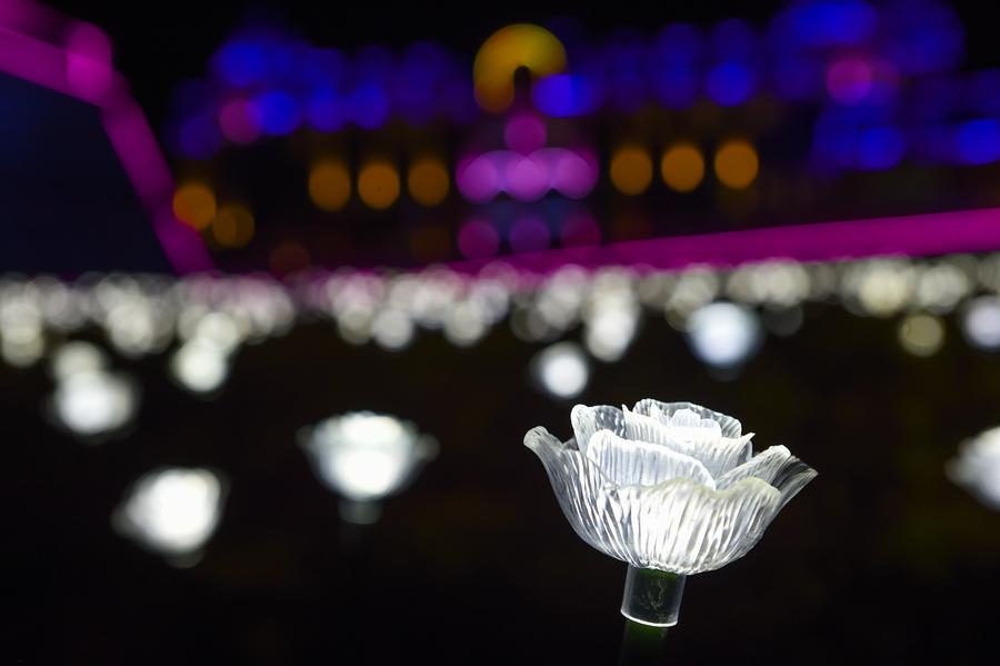 Rose lights illuminate sunflower park in Guangzhou