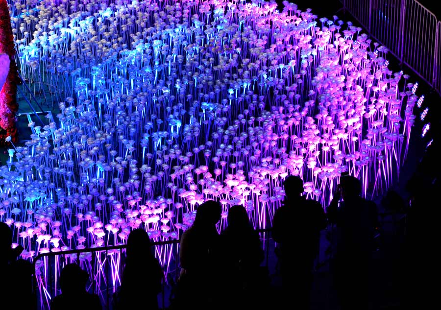 A sea of roses lights up Wuhan on Valentine's Day