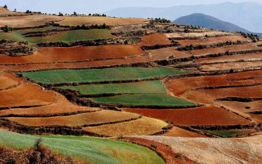 Scenery of red earth terraces in SW China's Kunming