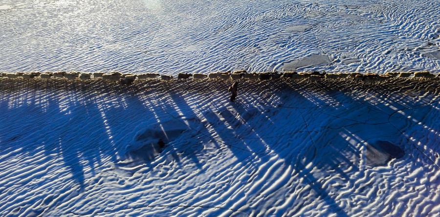 An icy path to pastures new