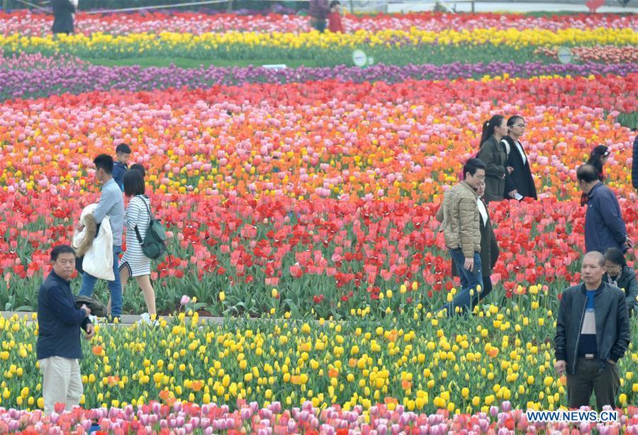 Tourists enjoy tulip blossoms in C China's Hunan