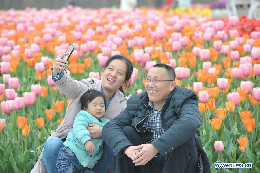 Tourists enjoy tulip blossoms in C China's Hunan