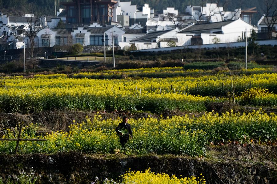 Scenery of ancient village in Yixian county, Anhui province