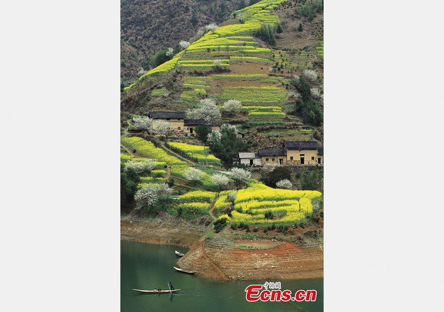 Xin'an River offers wonderful views