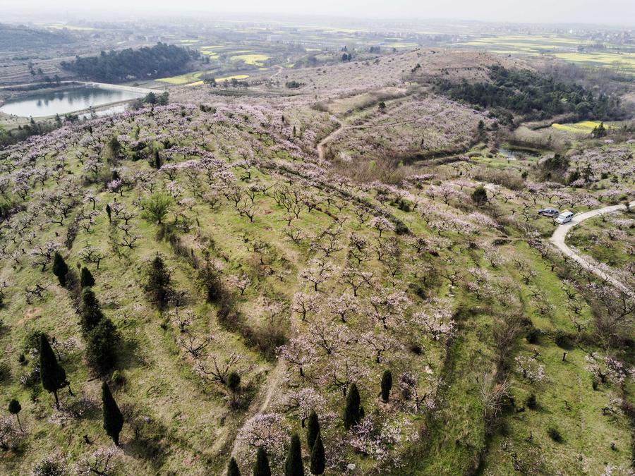 Spring scenery of Fengshan town in Hubei