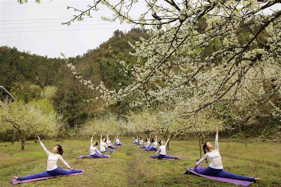 Yoga fans practise yoga on farmland of flowers in Zhangjiajie