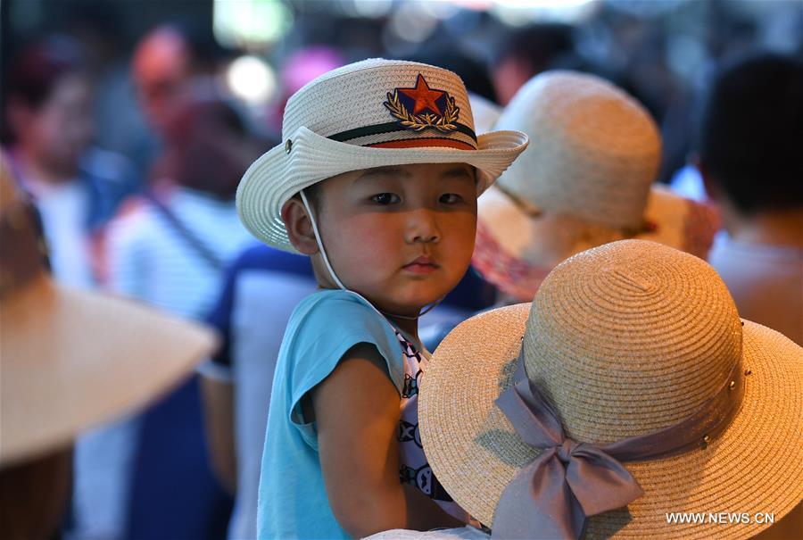 Folk tourism developed at Yuanjia village in NW China's Shaanxi