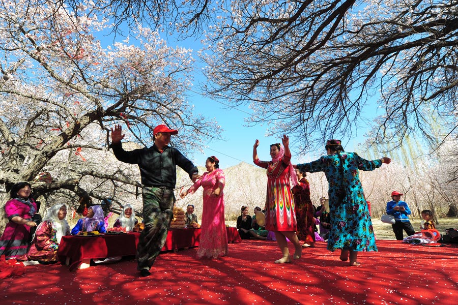 Third Apricot Flower and Butterfly Festival kicks off