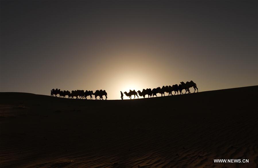 Desert scenic area in Ordos of N China's Inner Mongolia