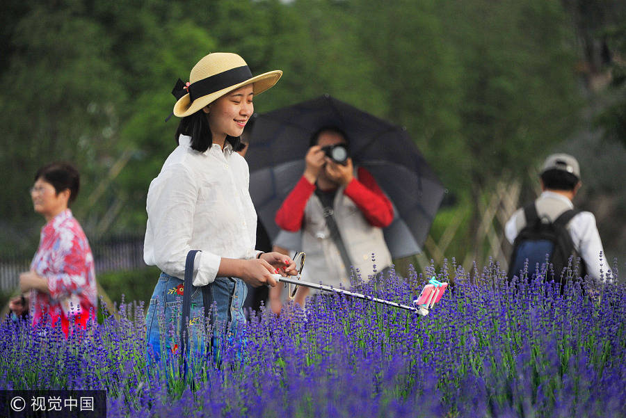 Crowds flock to free Vanilla Garden in Shanghai