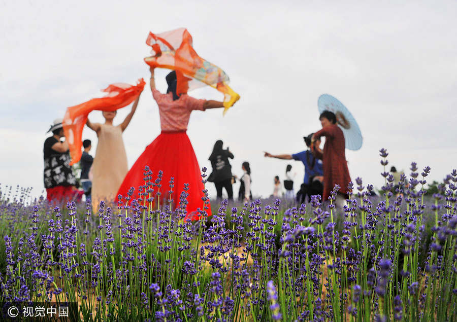 Crowds flock to free Vanilla Garden in Shanghai