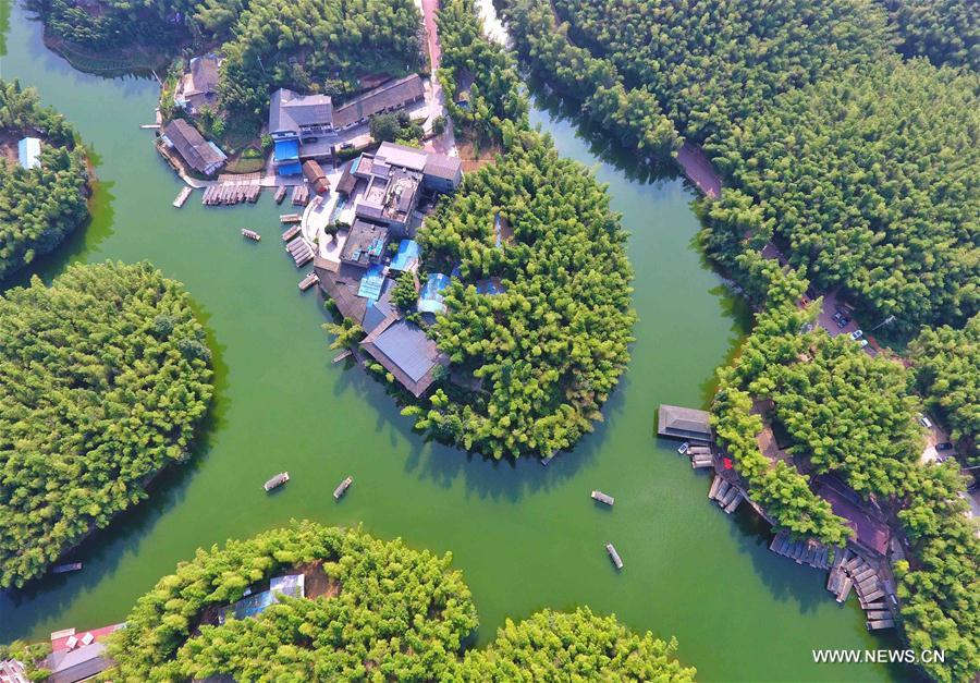 Scenery at Bamboo Sea scenic spot in SW China