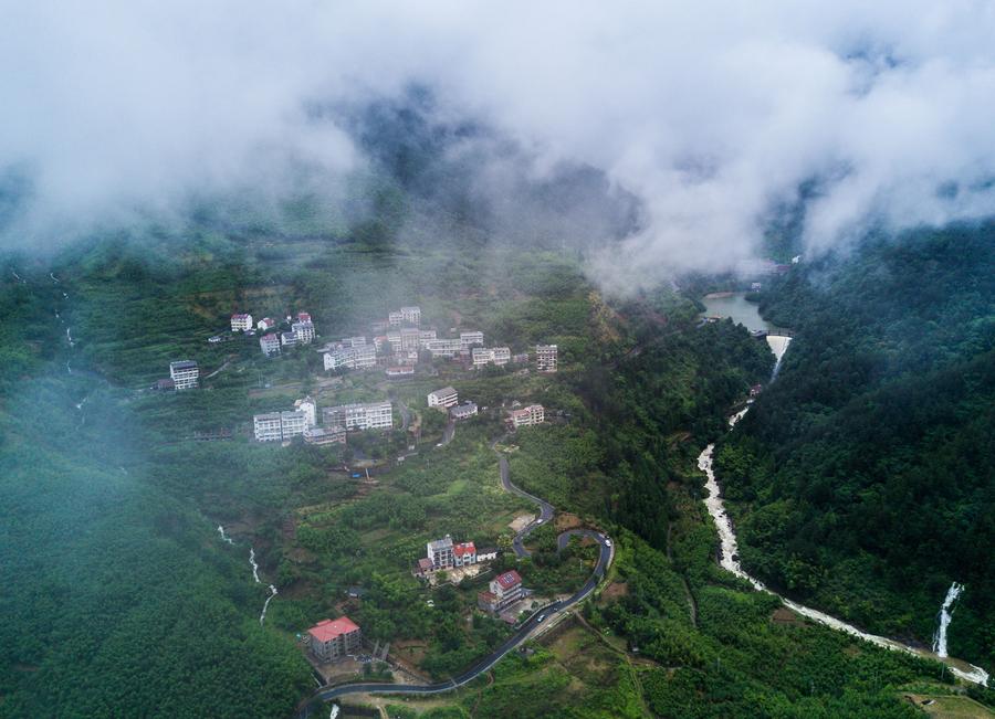 Aerial view of Tianmu Mountain natural conservation area in E China