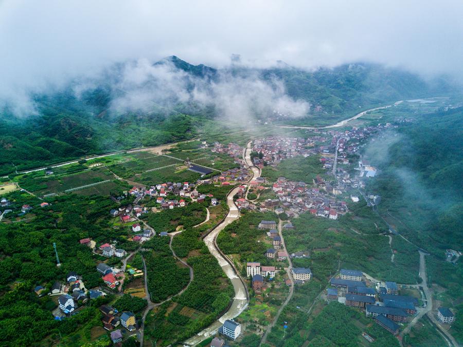 Aerial view of Tianmu Mountain natural conservation area in E China