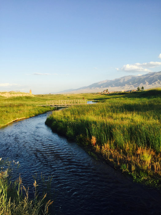 Natural beauty of Gaojiahu wetland in Xinjiang's summer