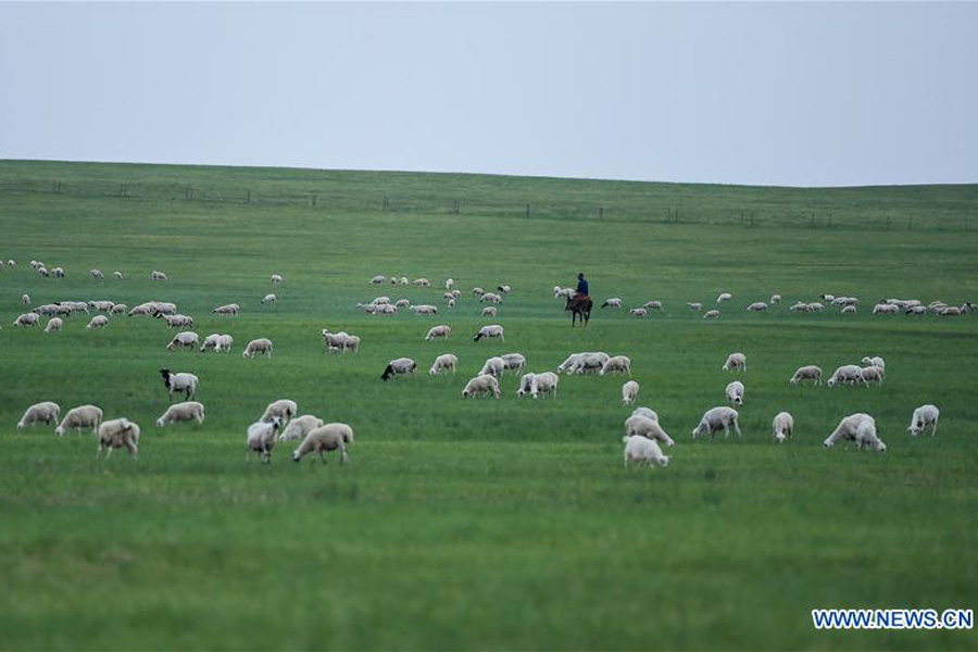 A glance at Inner Mongolia's better ecosystem